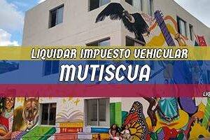 Cómo Liquidar el Impuesto Vehicular en Mutiscua en 2024