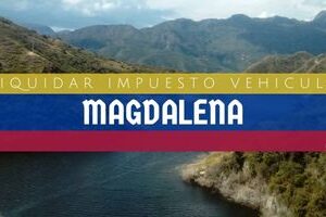 Cómo Liquidar el Impuesto Vehicular en Magdalena en 2024