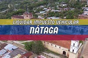 Cómo Liquidar el Impuesto Vehicular en Nátaga en 2024