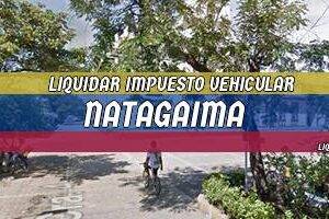 Cómo Liquidar el Impuesto Vehicular en Natagaima en 2024