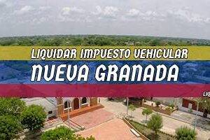 Cómo Liquidar el Impuesto Vehicular en Nueva Granada en 2024
