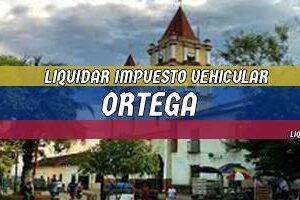 Cómo Liquidar el Impuesto Vehicular en Ortega en 2024