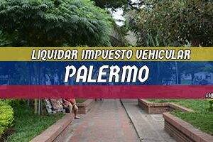 Cómo Liquidar el Impuesto Vehicular en Palermo en 2024