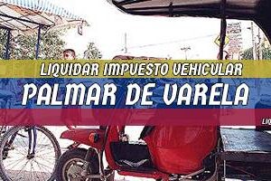 Cómo Liquidar el Impuesto Vehicular en Palmar de Varela en 2024