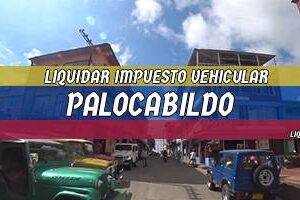 Cómo Liquidar el Impuesto Vehicular en Palocabildo en 2024