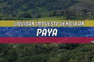 Cómo Liquidar el Impuesto Vehicular en Paya en 2024