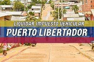 Cómo Liquidar el Impuesto Vehicular en Puerto Libertador en 2024