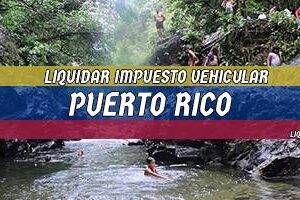 Cómo Liquidar el Impuesto Vehicular en Puerto Rico en 2024