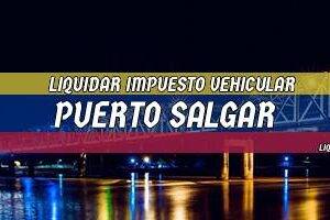 Cómo Liquidar el Impuesto Vehicular en Puerto Salgar en 2024