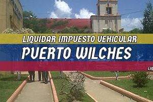 Cómo Liquidar el Impuesto Vehicular en Puerto Wilches en 2024