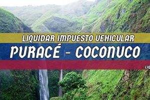 Cómo Liquidar el Impuesto Vehicular en Puracé – Coconuco en 2024
