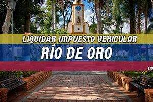 Cómo Liquidar el Impuesto Vehicular en Río de Oro en 2024