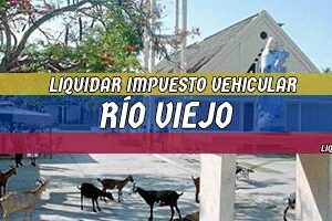 Cómo Liquidar el Impuesto Vehicular en Río Viejo en 2024