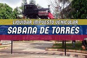 Cómo Liquidar el Impuesto Vehicular en Sabana de Torres en 2024