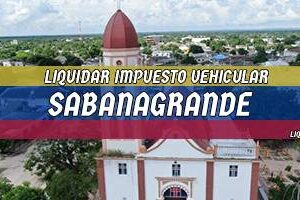 Cómo Liquidar el Impuesto Vehicular en Sabanagrande en 2024