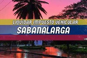 Cómo Liquidar el Impuesto Vehicular en Sabanalarga en 2024