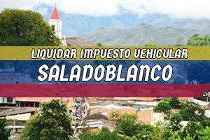 Cómo Liquidar el Impuesto Vehicular en Saladoblanco en 2024