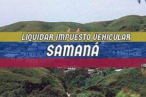 Cómo Liquidar el Impuesto Vehicular en Samaná en 2024