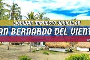Cómo Liquidar el Impuesto Vehicular en San Bernardo del Viento en 2024
