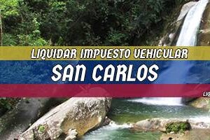 Cómo Liquidar el Impuesto Vehicular en San Carlos en 2024