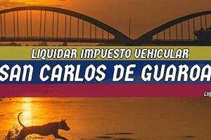 Cómo Liquidar el Impuesto Vehicular en San Carlos de Guaroa en 2024