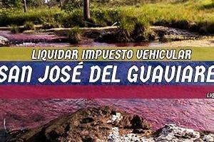 Cómo Liquidar el Impuesto Vehicular en San José del Guaviare en 2024