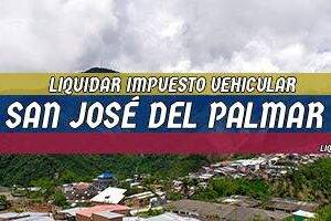 Cómo Liquidar el Impuesto Vehicular en San José del Palmar en 2024