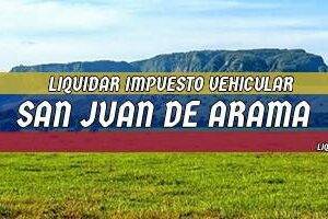 Cómo Liquidar el Impuesto Vehicular en San Juan de Arama en 2024