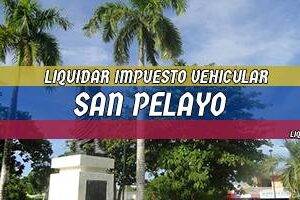 Cómo Liquidar el Impuesto Vehicular en San Pelayo en 2024