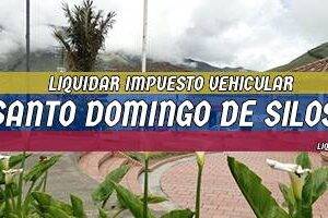 Cómo Liquidar el Impuesto Vehicular en Santo Domingo de Silos en 2024