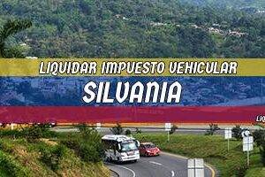 Cómo Liquidar el Impuesto Vehicular en Silvania en 2024