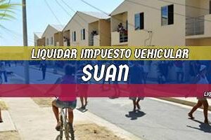 Cómo Liquidar el Impuesto Vehicular en Suan en 2024