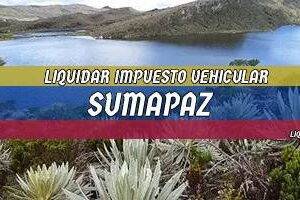Cómo Liquidar el Impuesto Vehicular en Sumapaz en 2024