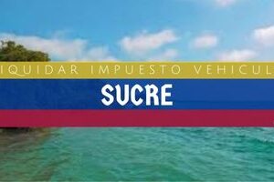 Cómo Liquidar el Impuesto Vehicular en Sucre en 2024