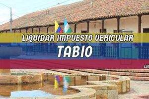 Cómo Liquidar el Impuesto Vehicular en Tabio en 2024