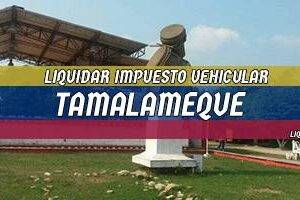 Cómo Liquidar el Impuesto Vehicular en Tamalameque en 2024