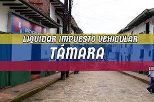 Cómo Liquidar el Impuesto Vehicular en Támara en 2024