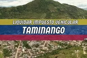 Cómo se Liquida el Impuesto Vehicular en Taminango en 2025