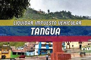 Cómo Liquidar el Impuesto Vehicular en Tangua en 2024