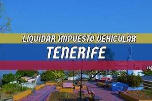 Cómo Liquidar el Impuesto Vehicular en Tenerife en 2024