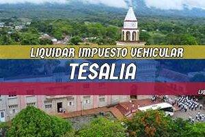 Cómo Liquidar el Impuesto Vehicular en Tesalia en 2024