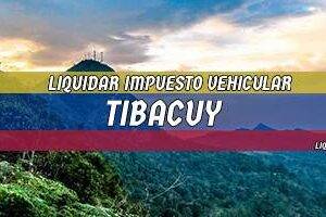 Cómo Liquidar el Impuesto Vehicular en Tibacuy en 2024