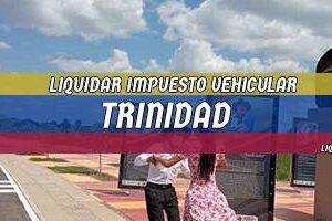 Cómo Liquidar el Impuesto Vehicular en Trinidad en 2024