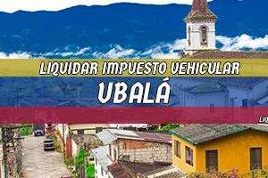 Cómo Liquidar el Impuesto Vehicular en Ubalá en 2024