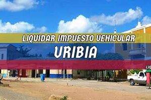 Cómo Liquidar el Impuesto Vehicular en Uribia en 2024