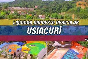 Cómo Liquidar el Impuesto Vehicular en Usiacurí en 2024