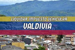 Cómo Liquidar el Impuesto Vehicular en Valdivia en 2024