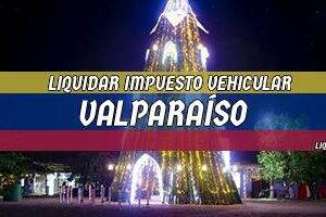 Cómo Liquidar el Impuesto Vehicular en Valparaíso en 2024