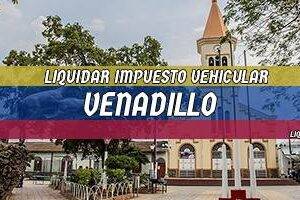 Cómo Liquidar el Impuesto Vehicular en Venadillo en 2024