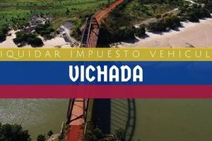 Cómo Liquidar el Impuesto Vehicular en Vichada en 2024